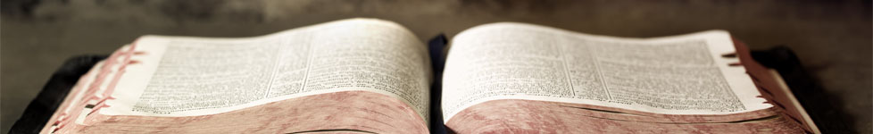 Bible Classes & Education